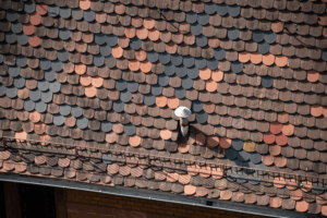 Choosing roofing software Best roofing software