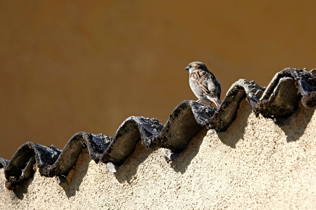 Image 73 roofing followup