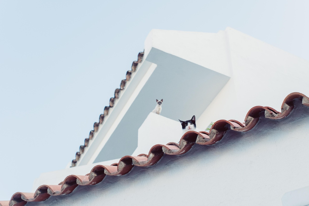 Roof franchise crm