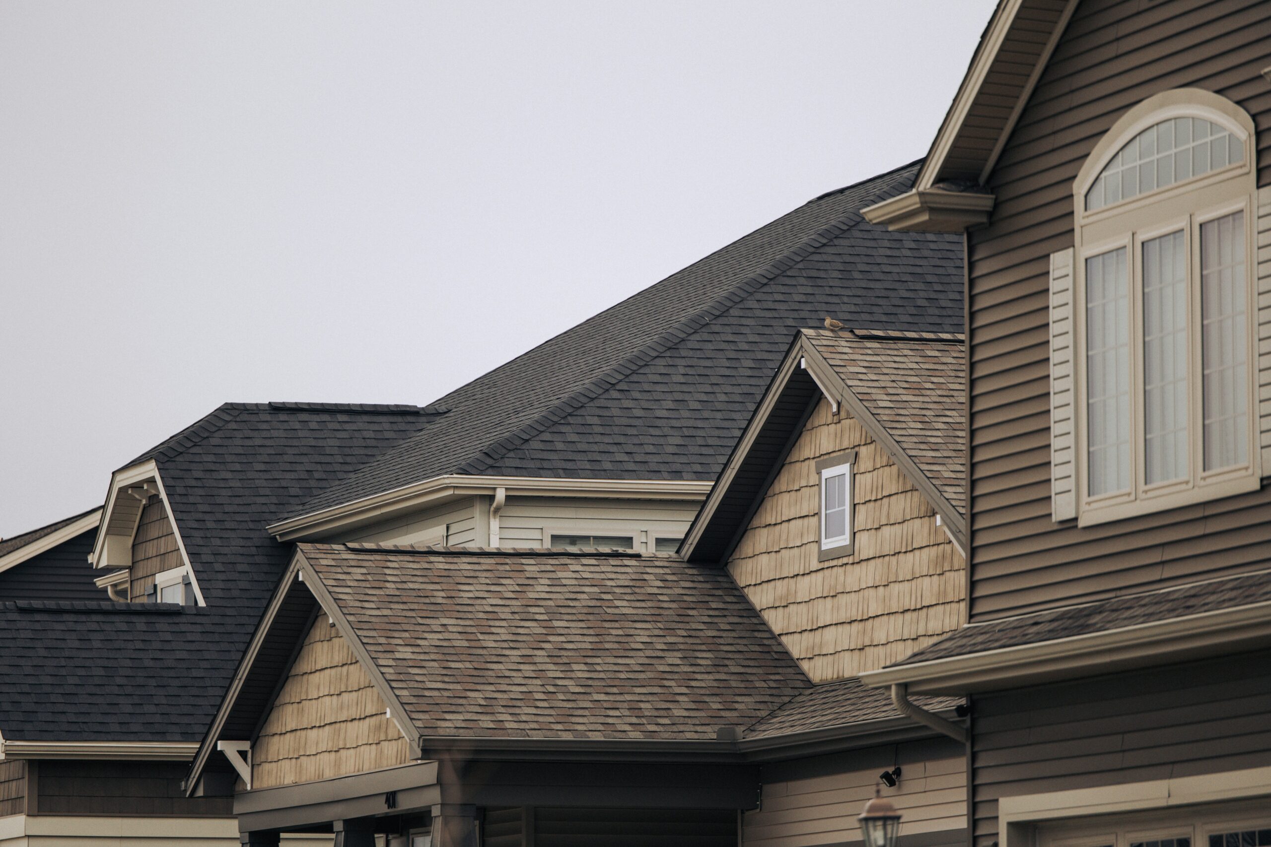 roofing sales first year stories